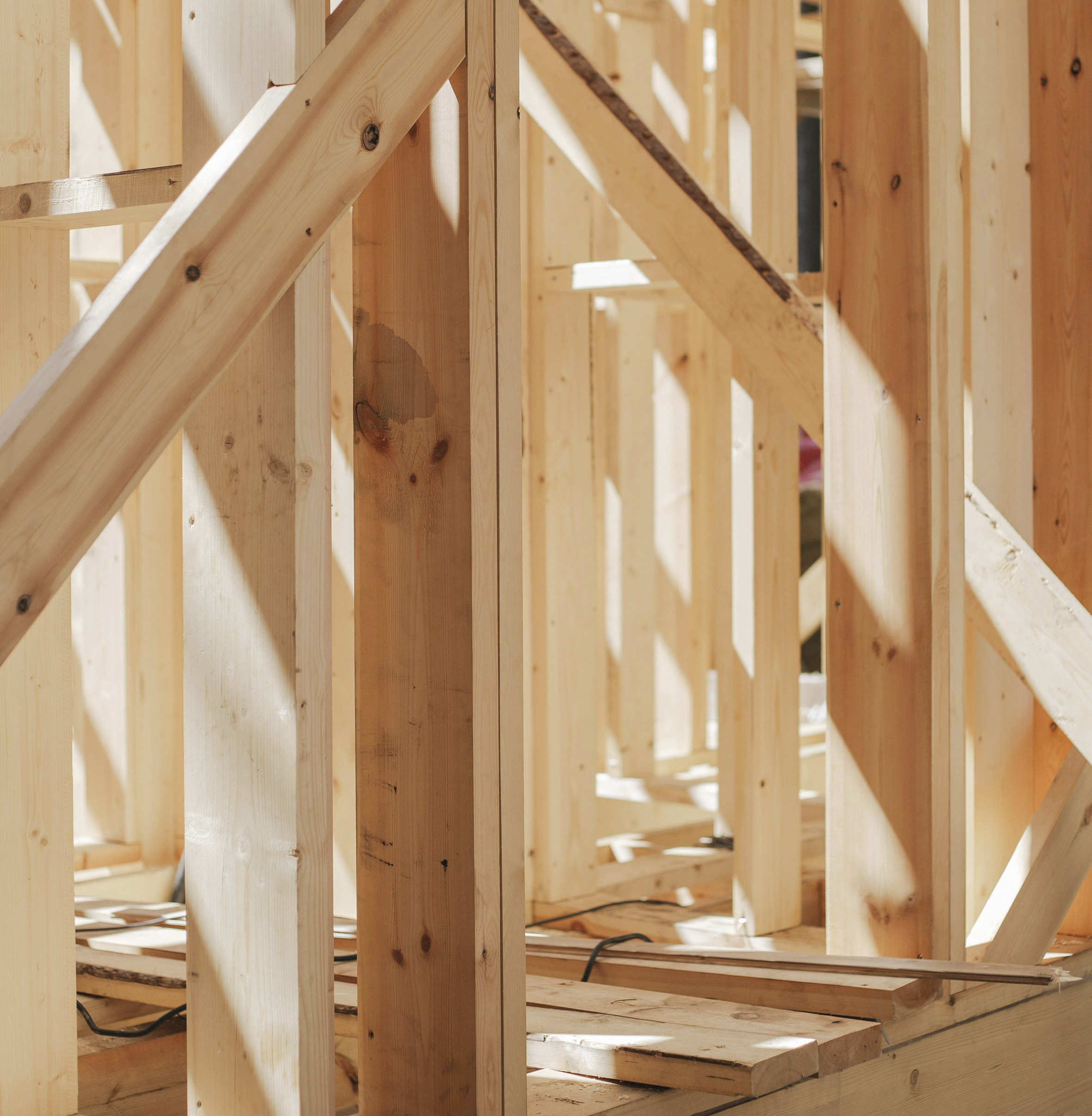 Il settore del legno in ticino: solidità e prospettive di crescita